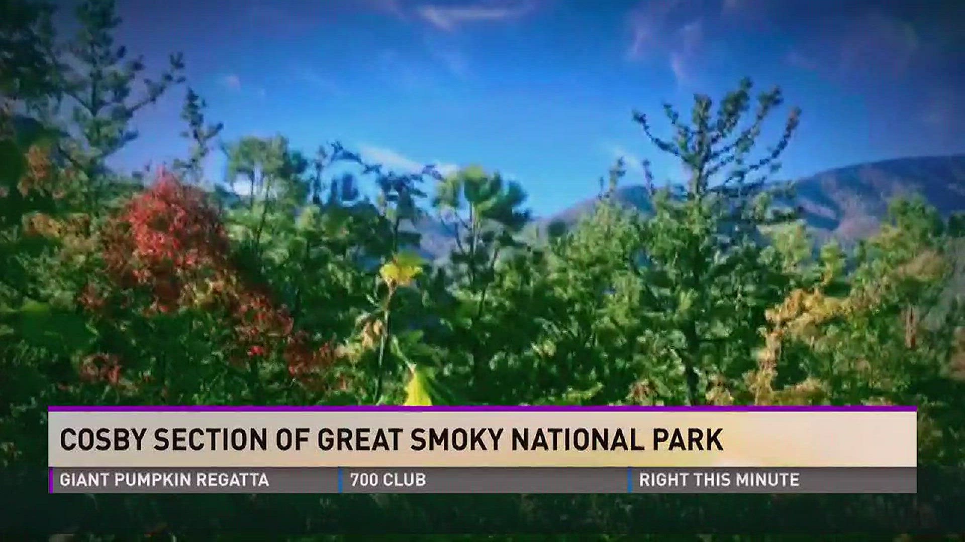 Missy Kane explores the Cosby section of the Great Smoky National Park.