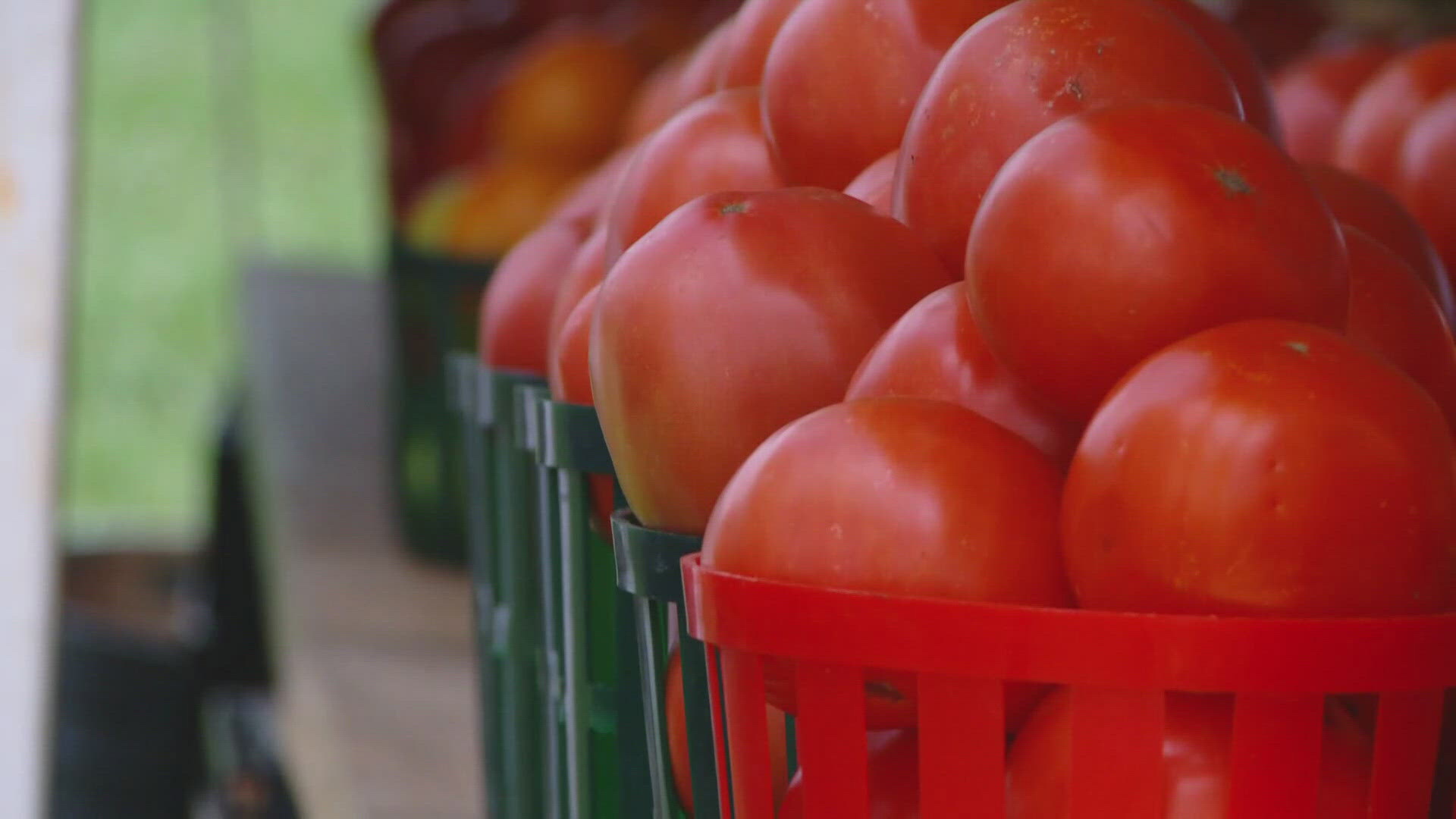 Ahead of the Grangier County Tomato Festival, we are celebrating one of the most popular summer staples - the tomato.