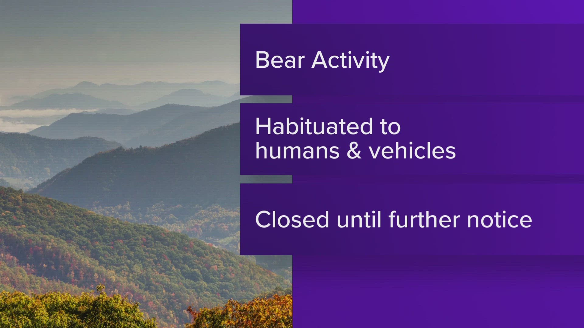 Park officials said a visitor encountered a bear that has become habituated to humans and vehicles. Rich Mountain Road is closed until further notice.