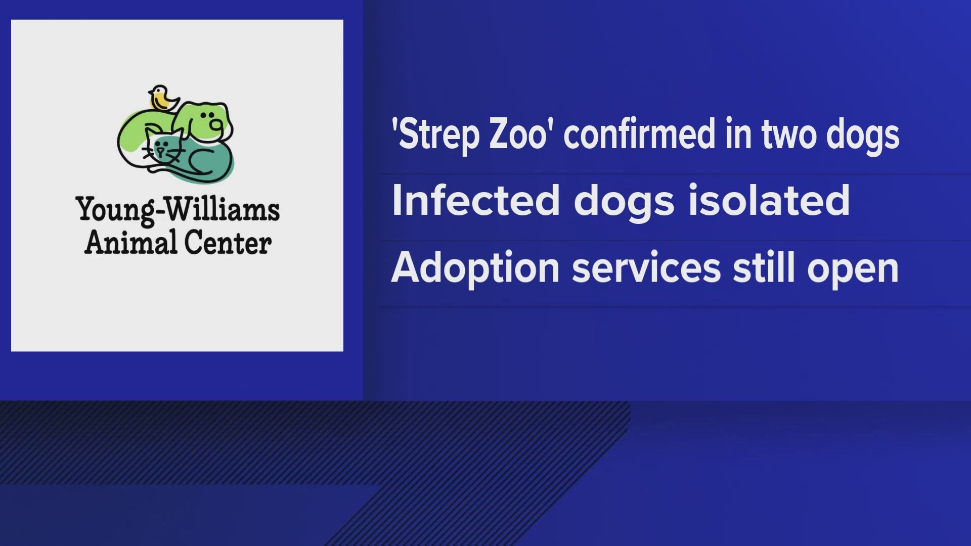 Two dogs have tested positive for strep zoo and are recovering, according to Young-Williams.