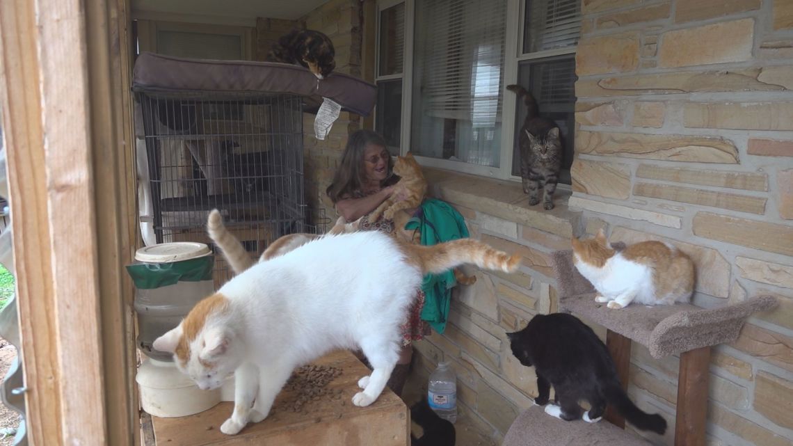 Rescue farm in Jefferson County grows years after a family promise