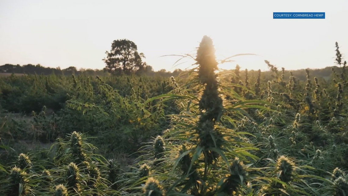 Kentucky hemp company withdraws lawsuit against TN, citing concerns over federal ban