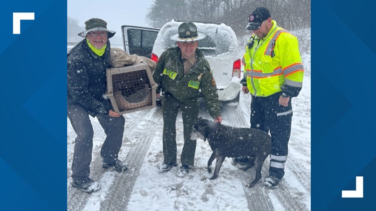 THP helps driver and pets get back on the road after car falls into roadside ditch