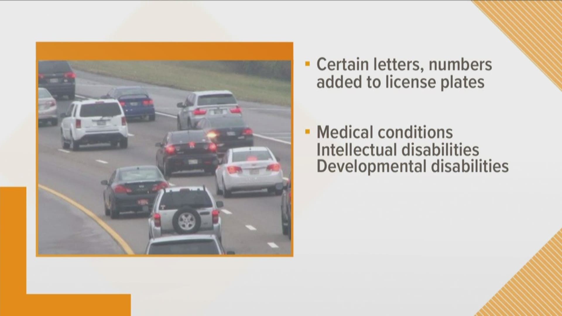 A proposed law would label license plates on vehicles driven by people with medical, intellectual or developmental disabilities to help protect them on the road.