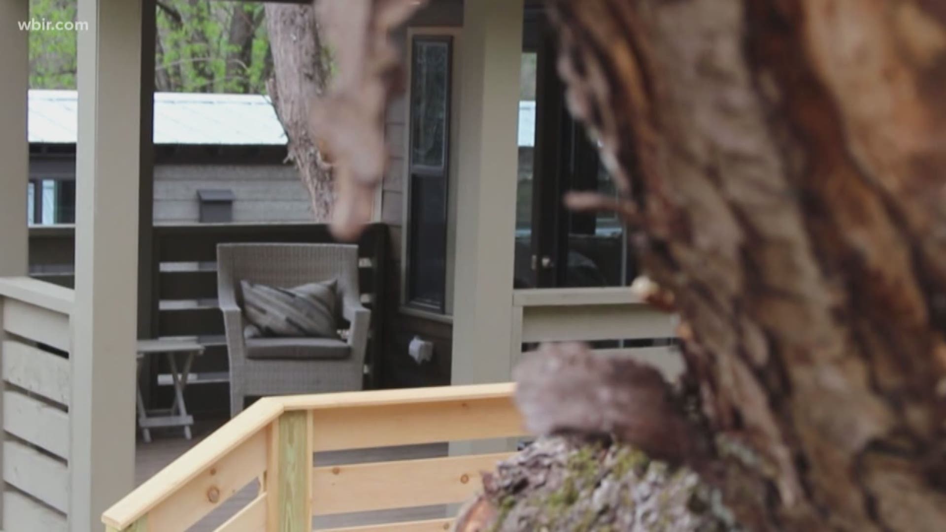 Tiny Homes are taking "glamping" to a whole new level.
