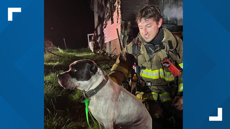Dog missing after house fire in Rockwood, RFD says | wbir.com
