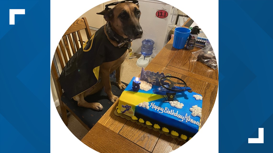 University of Tennessee Police Department - Happy 5th birthday to Bruno,  our crime-fighting K9!