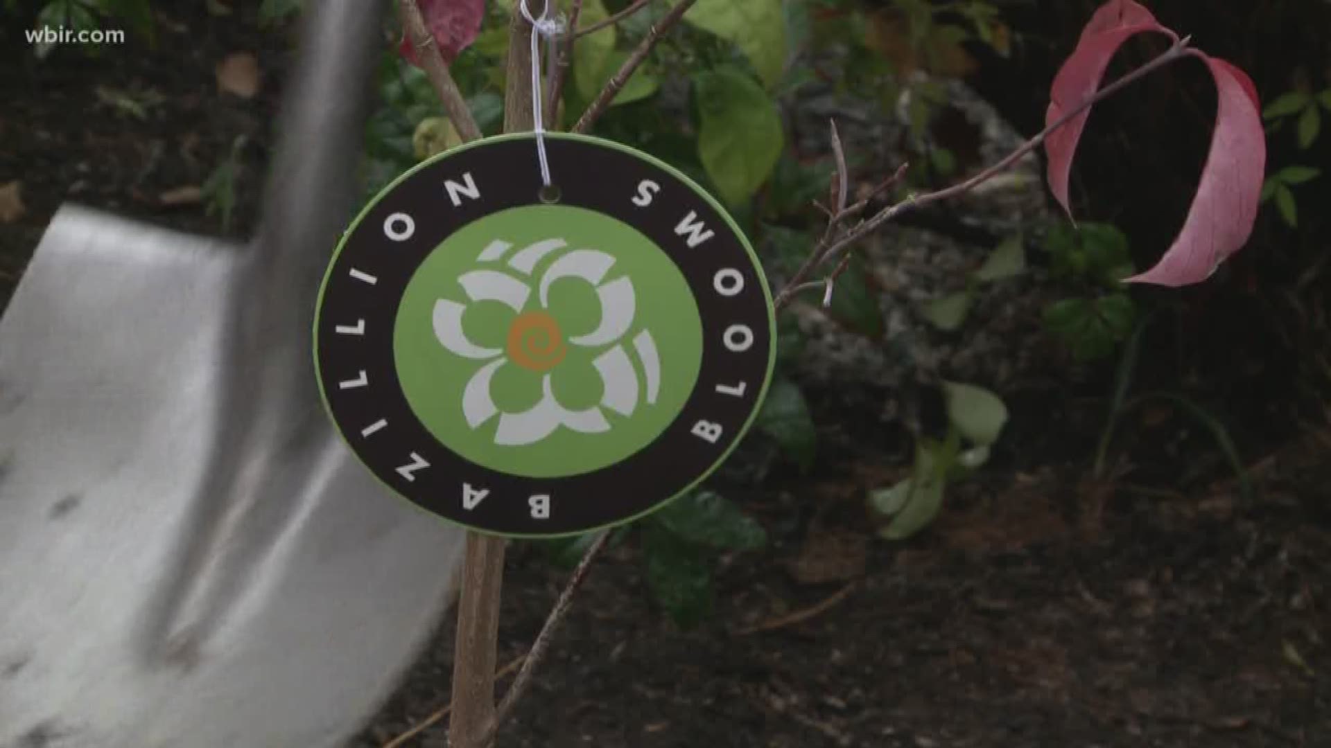 Dogwood Arts celebrates planting 10,000 trees in 10 years.
