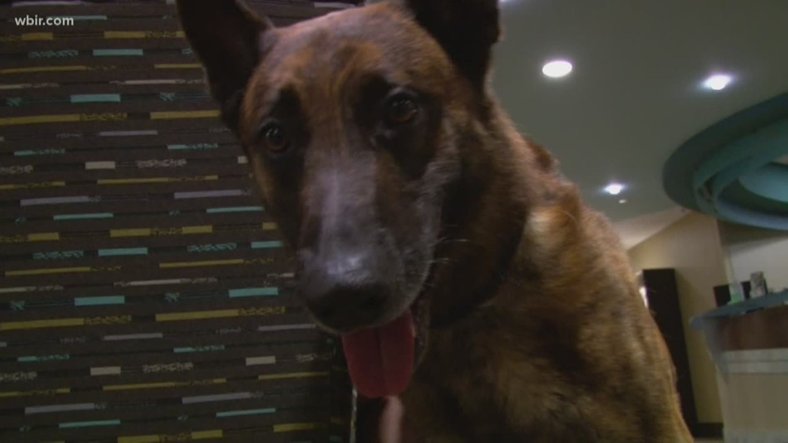 We meet a retiring K9 who spent his working years protecting others - and bringing an extra level of care to local law enforcement.