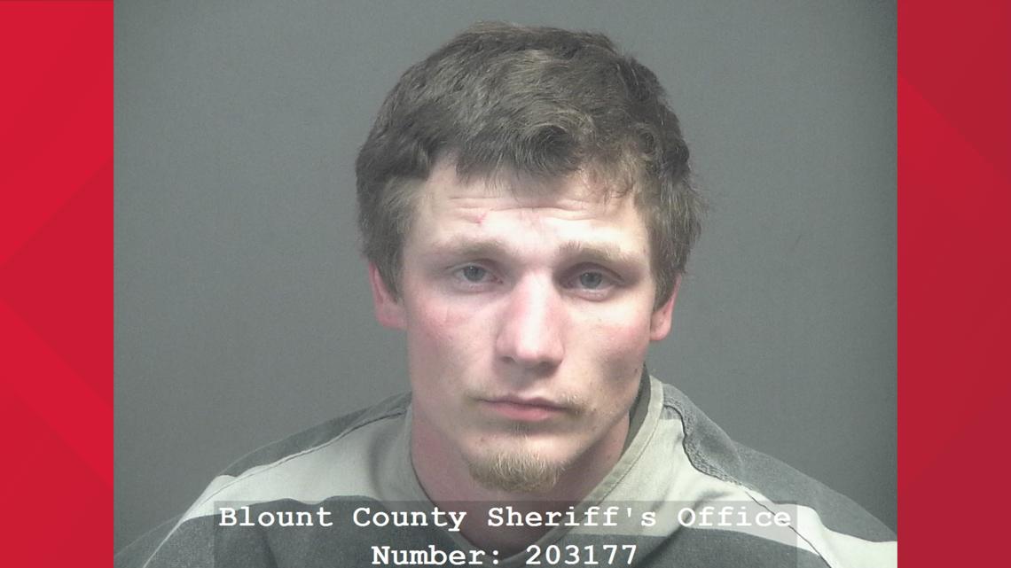 Lenoir City man to plead guilty after running from deputy who died in 2025 crash