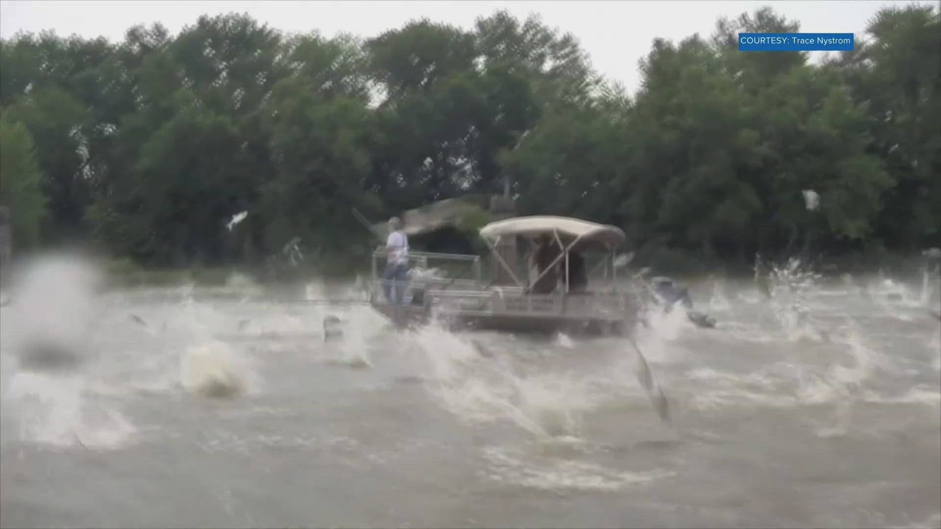 The TWRA said that each time a lock opens and closes, the invasive species have an opportunity to move up and down the rivers.