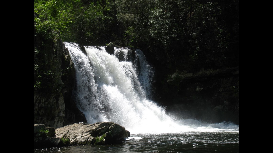 Georgia man drowns at Abrams Falls - Vimarsana News