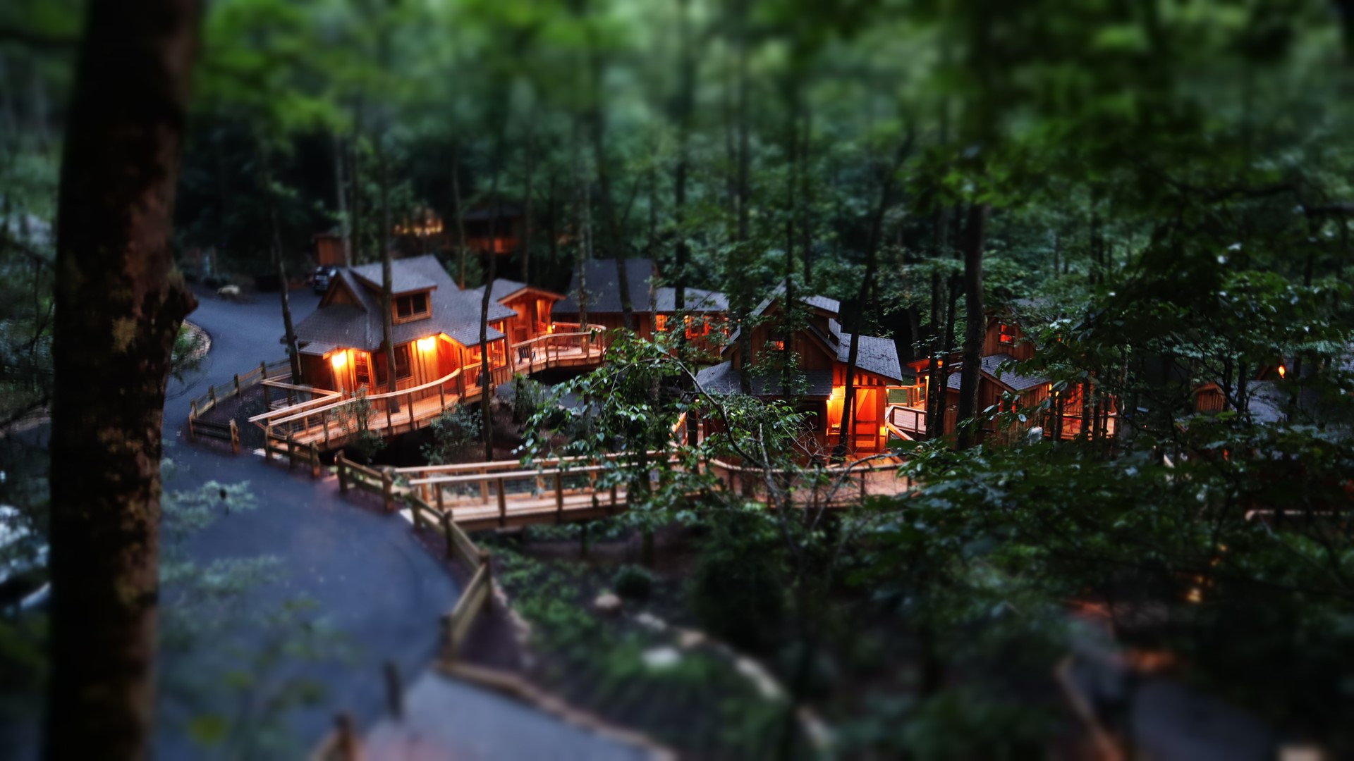SLIDESHOW Luxury treehouse resort opens in Gatlinburg