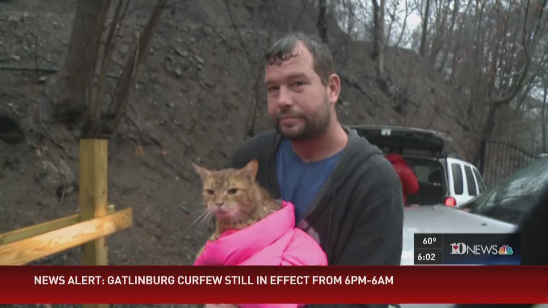 Nov. 30, 2016: A Wears Valley family who lost their home in the fires are glad to have found their cat who went missing during their evacuation.