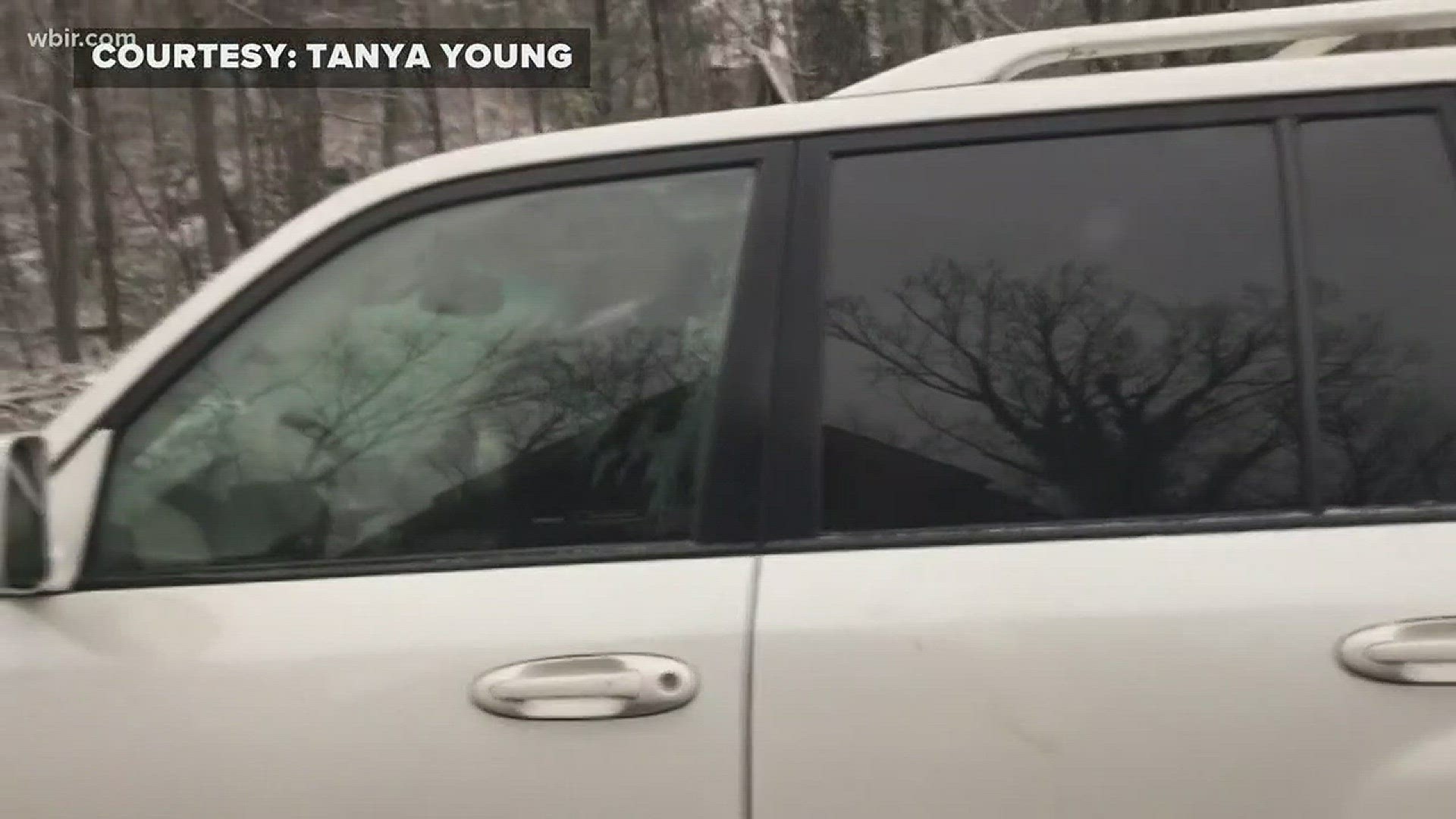 Visitors at a cabin in Gatlinburg were surprised to find a bear in their vehicle on Saturday.