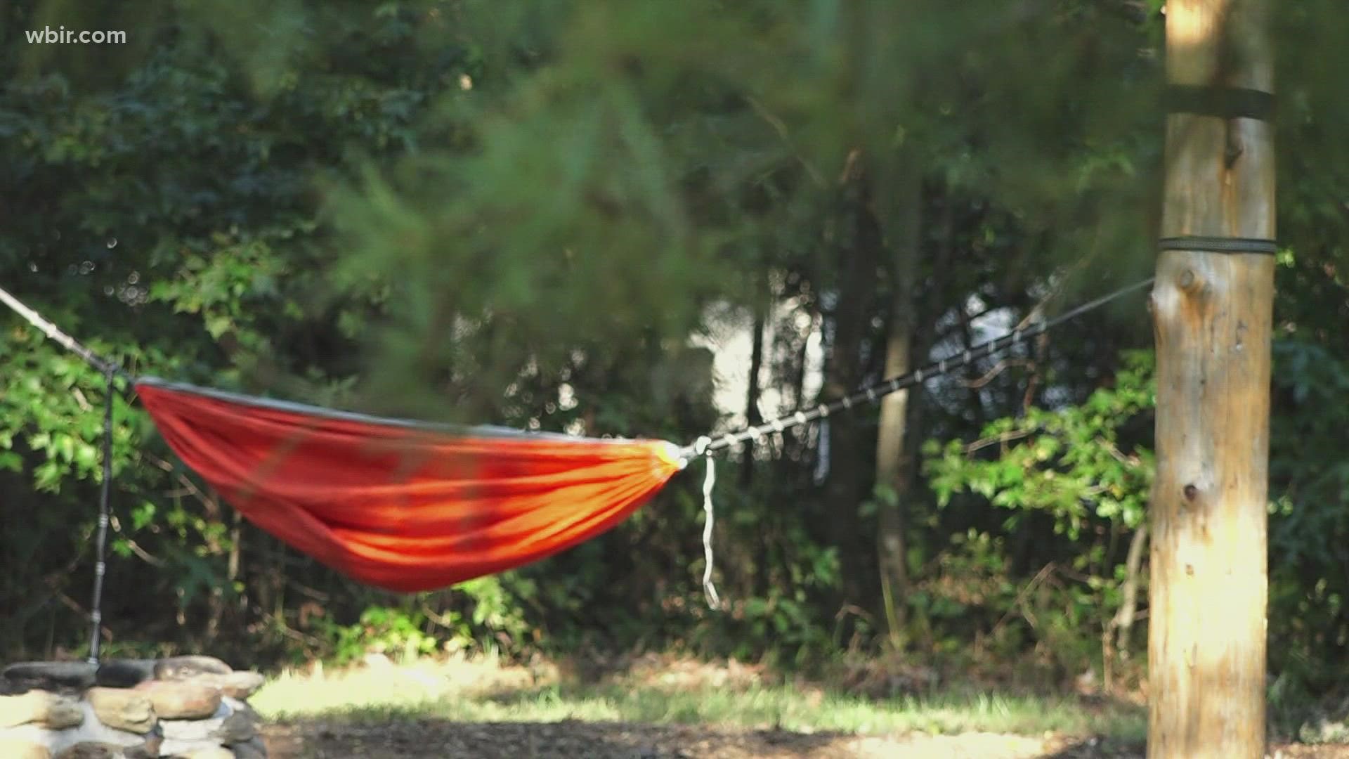 Tennessee's first hammock-only campground is now open in Kingsport.