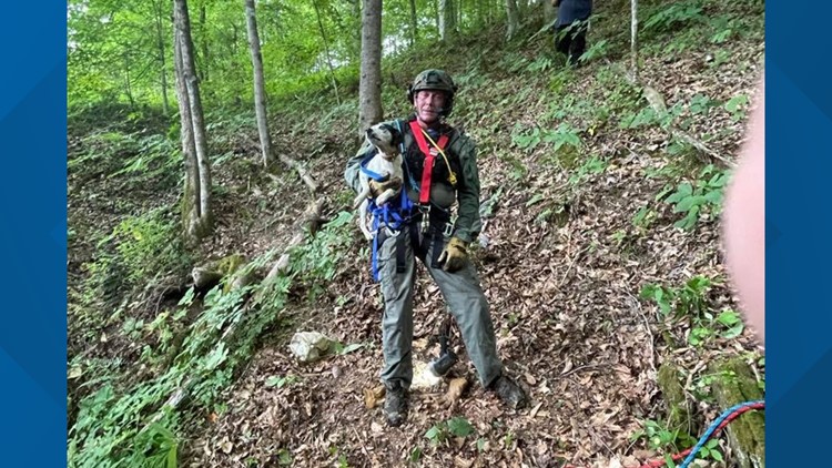 Hawkins County Rescue saves dog that fell in sinkhole in Hancock County