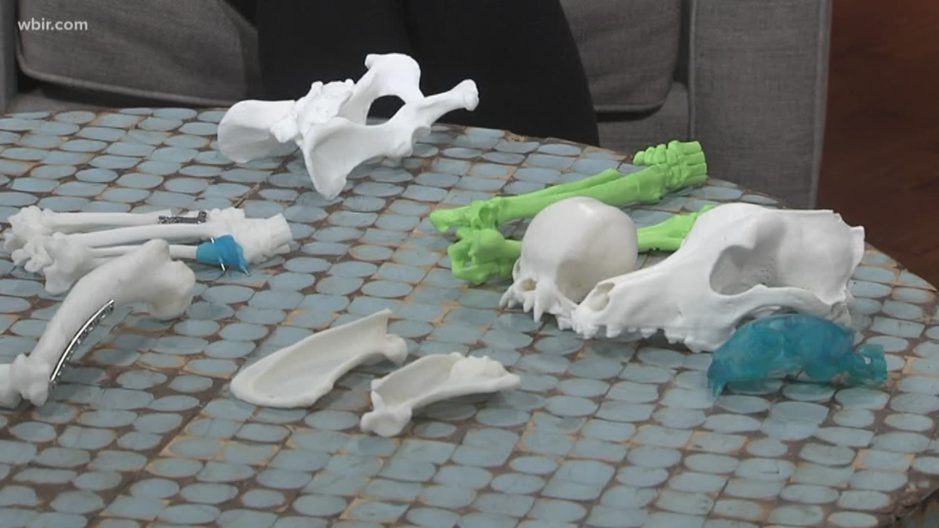 The University of Tennessee uses 3D printing as a teaching tool using them to make models of bones. Jan. 22, 2019-4pm