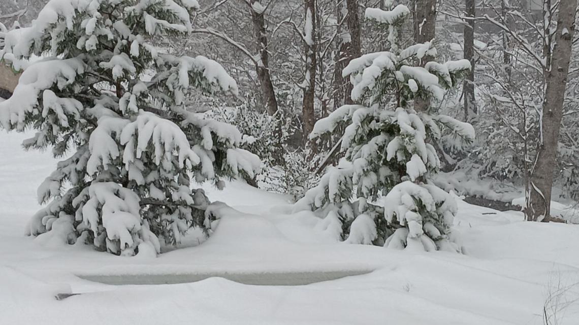 How much snow did parts of East Tennessee get?