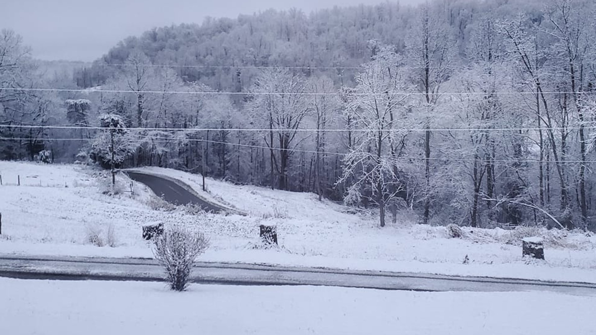 A snowy day across many parts of East TN | wbir.com