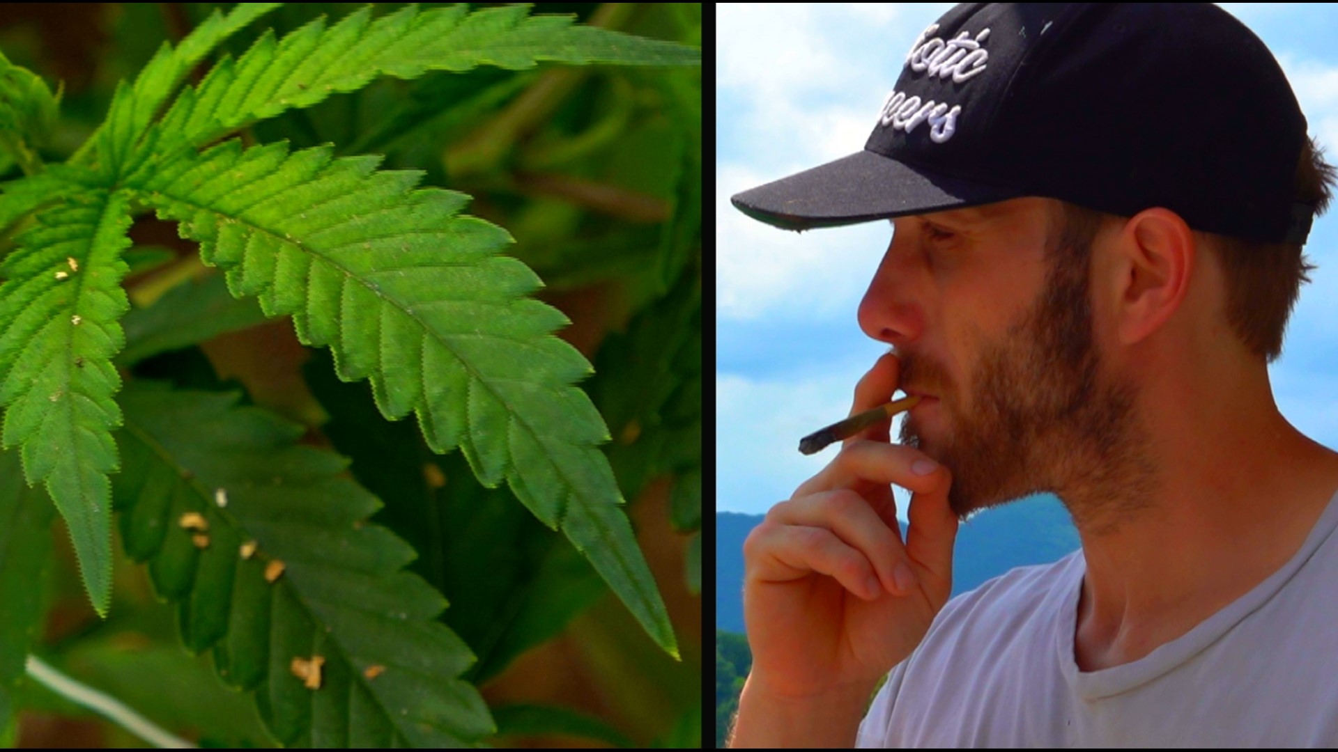 Ryan Rush began growing hemp in a backyard over 6 years ago. Today, he’s running a full-scale operation capitalizing on an unregulated market.