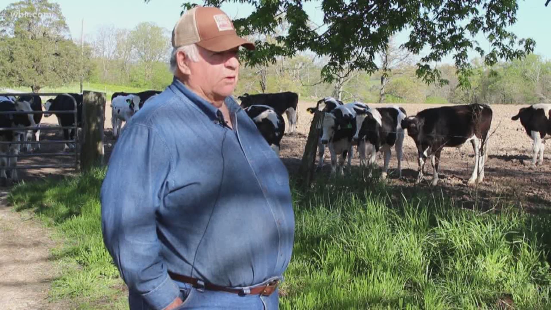 April 20, 2018: East Tennessee cattle farmers say a recent ICE raid at a Grainger County slaughterhouse will have a ripple effect on the area's farming economy.