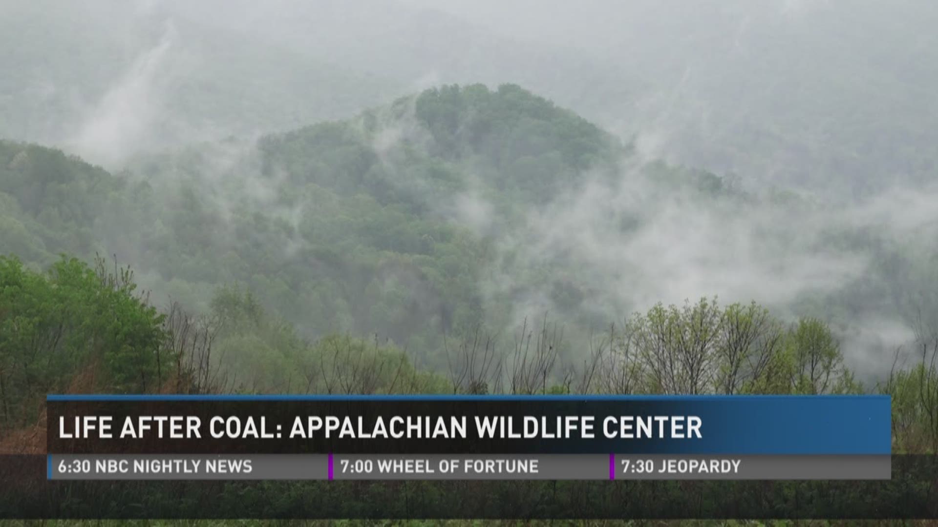 A Kentucky biologist is turning former coal mines into a wildlife sanctuary.