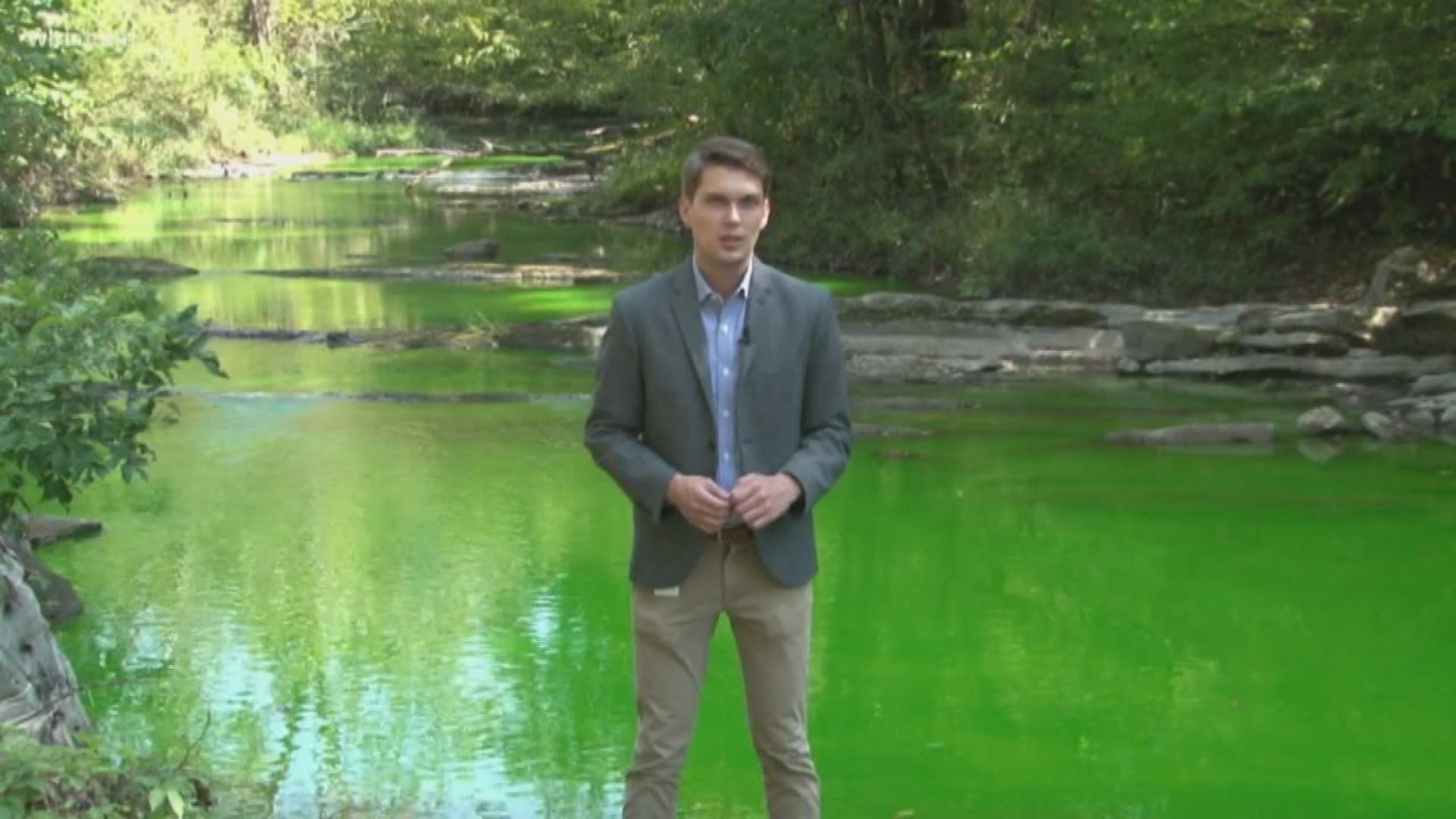 Officials say the bright green water is nothing to worry about -- and soon, it might turn bright red.