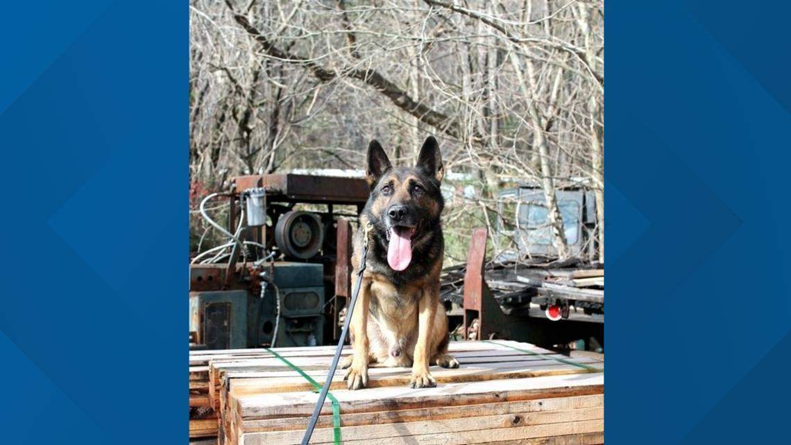 Erwin Police Department K9 officer found dead