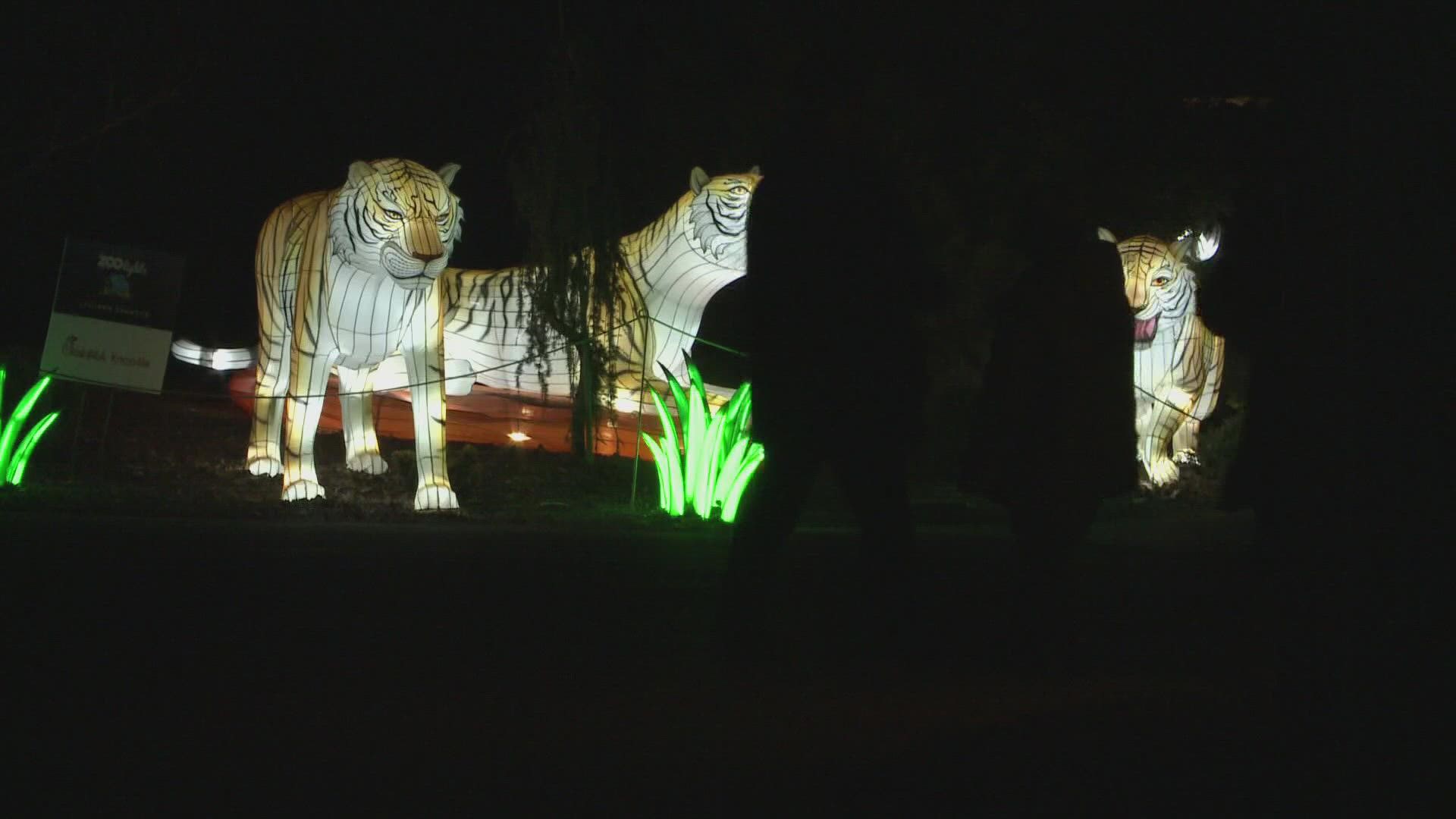 From November to January, the zoo will be filled with glowing silk lanterns of exotic animals. The zoo will be holding new activities, such as a scavenger hunt.