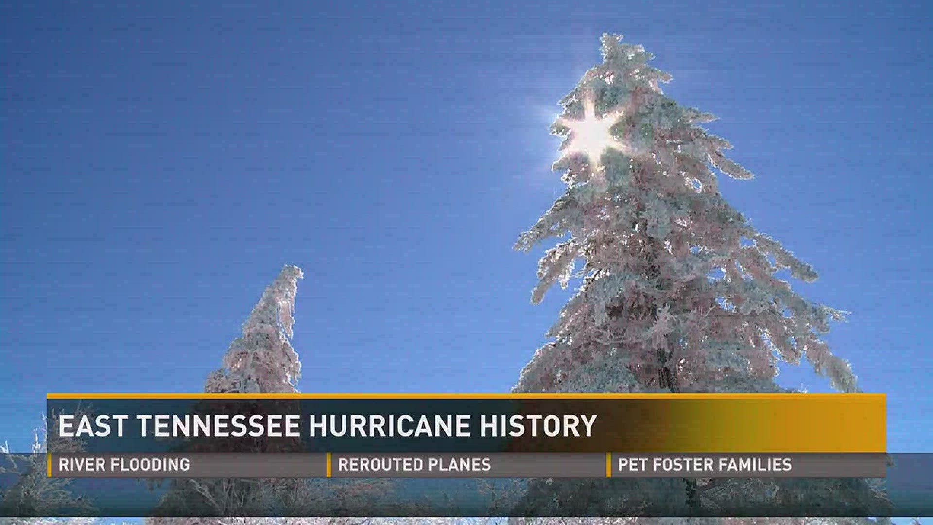Hurricanes are rare in this part of the country, but several previous storms have impacted East Tennessee.