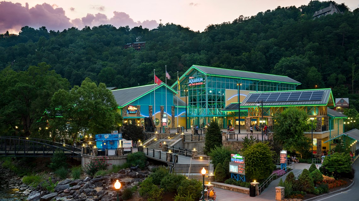 Ripley's Aquarium of the Smokies voted best in the nation... again!