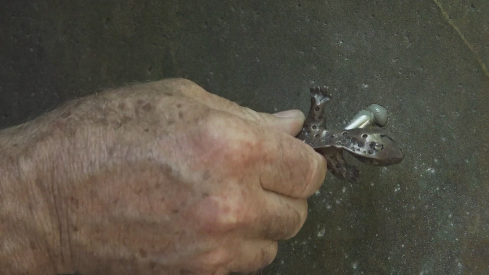 Right now you can go on a fun scavenger hunt in downtown Knoxville to find bronze newts. Michele Hummel from the Downtown Knoxville Alliance explains.