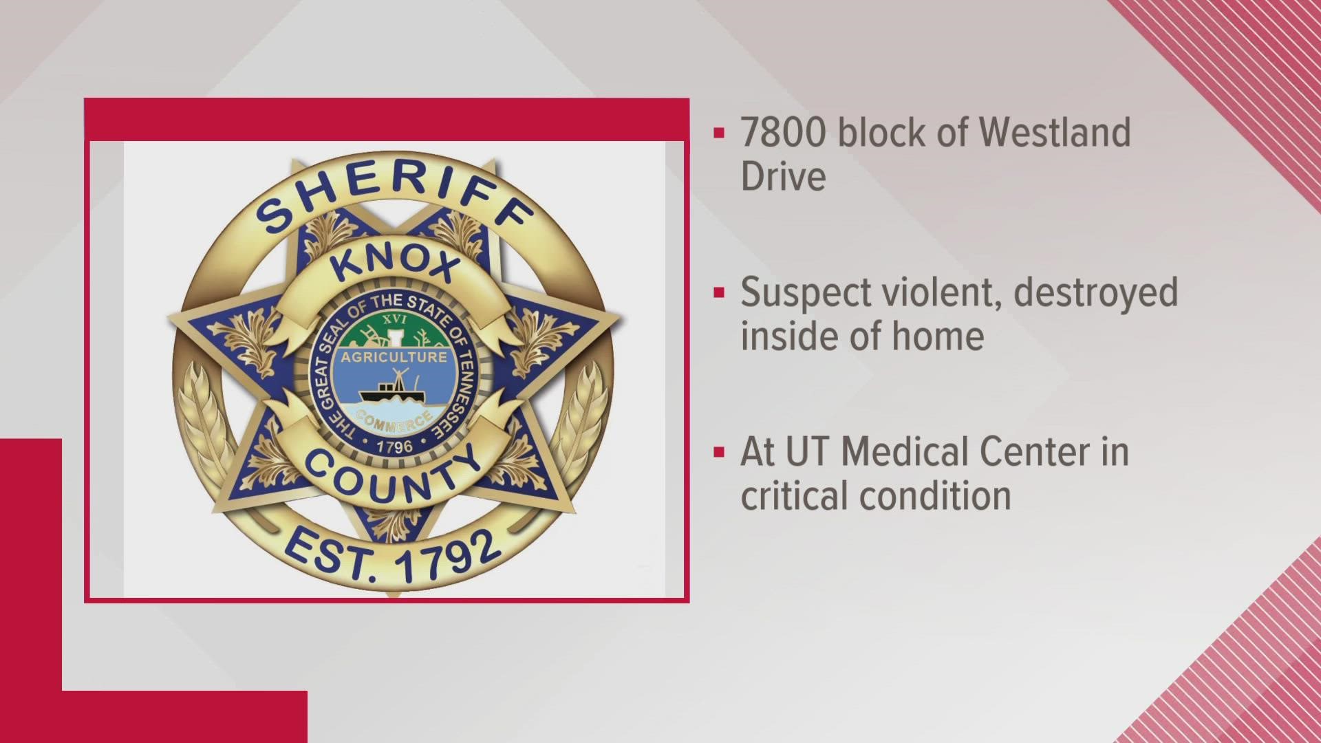 The Knox County Sheriff's Office said they received reports of a naked man who entered a home on Westland Drive at around 9 p.m. Tuesday.