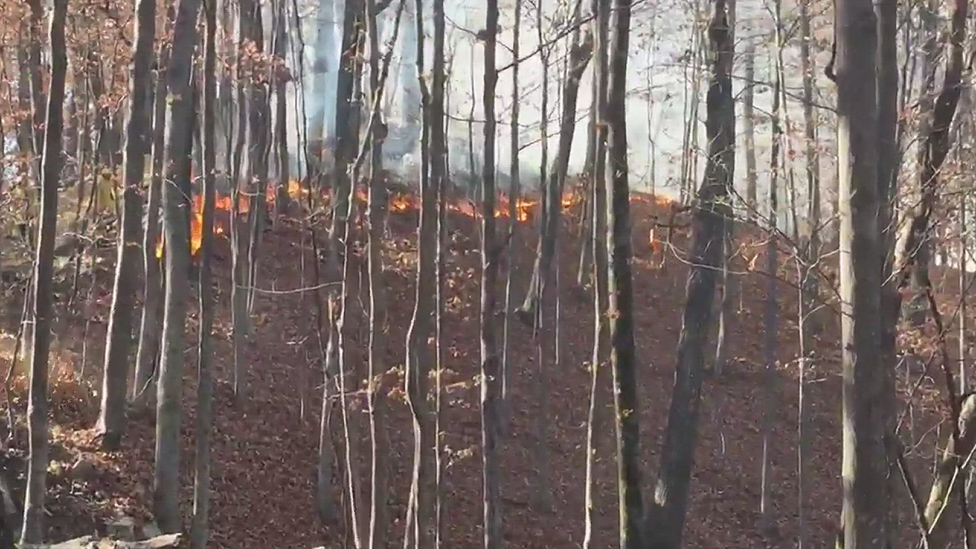 WBIR reporter Raishad Hardnett gives an update on the wildfire situation on Clinch Mountain. (11/18/16)