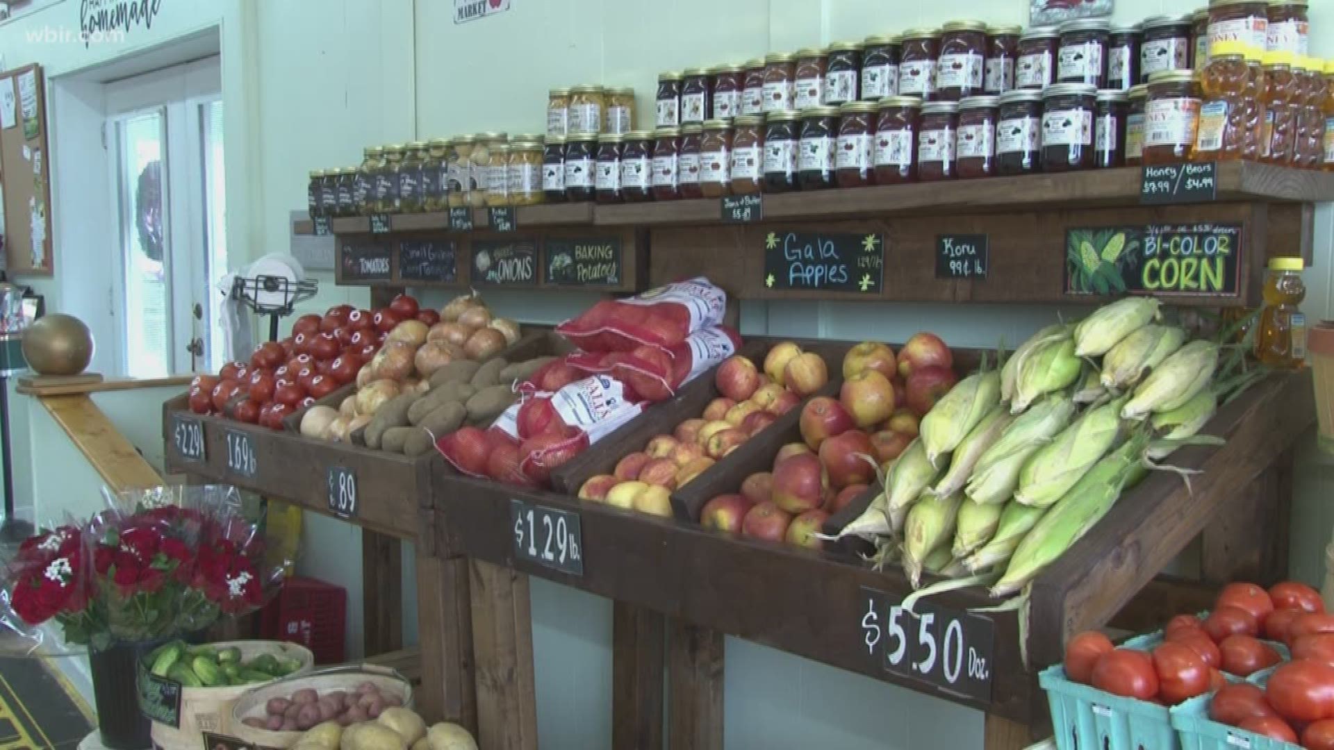 Grainger County tomato farmers say East Tennesseans won't have to worry about tomato tariffs this summer, but the fall may be a different story.