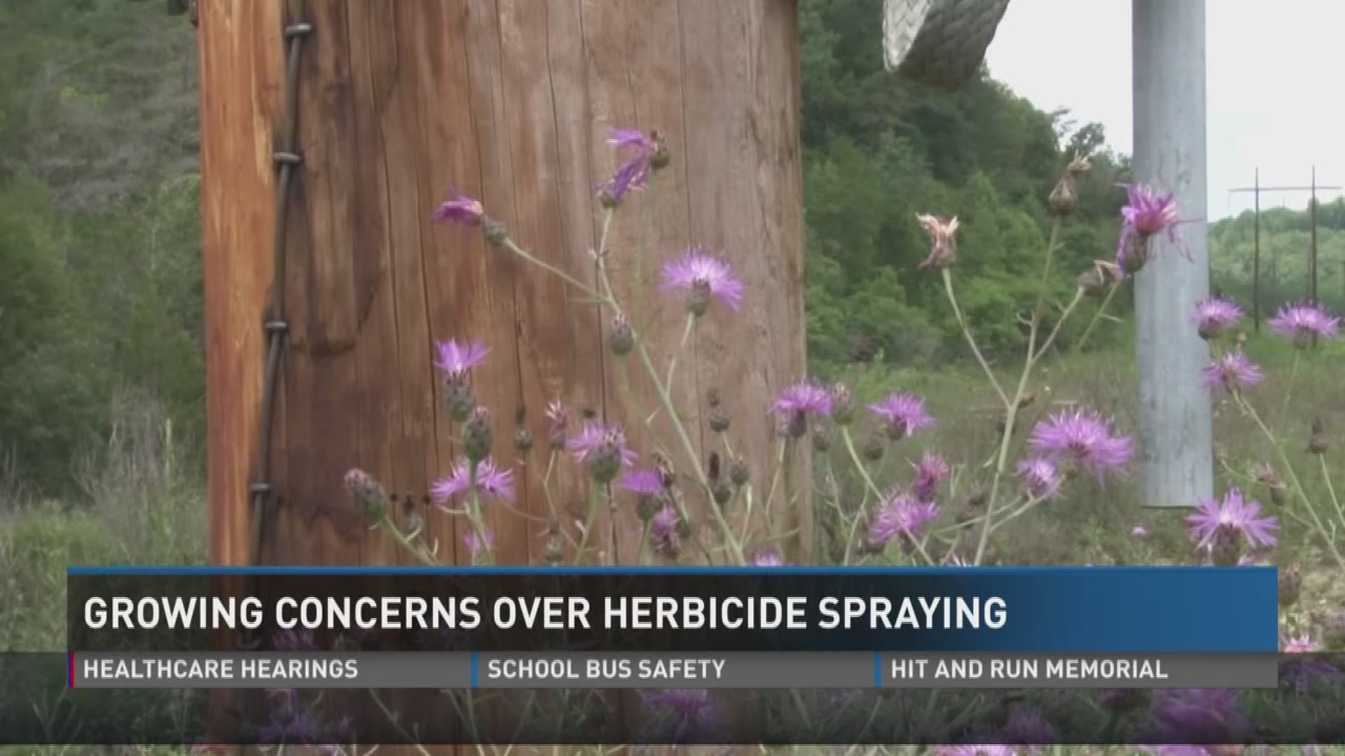 July 18, 2017: A chemical spray used by an East Tennessee electric company has people in several counties voicing concerns.