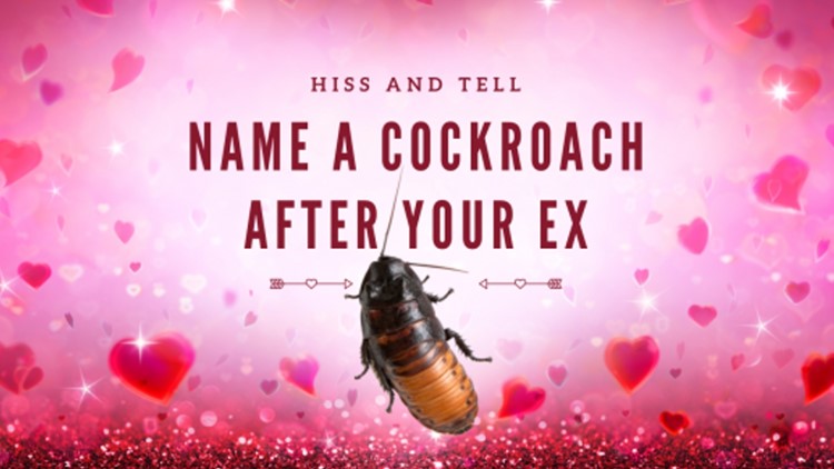 Zoo Knoxville giving people a chance to name a cockroach after their ex during new fundraiser