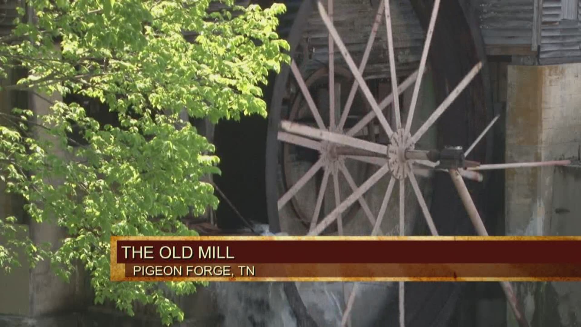The Old Mill has been attracting visitors for years and soon they'll be celebrating a big milestone. (5/5/17 4PM)
