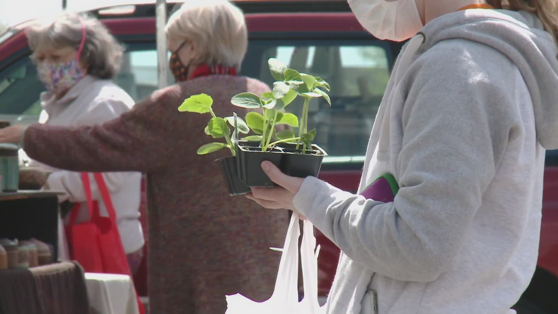 Knoxville celebrates 20 years of Market Square Farmers' Market