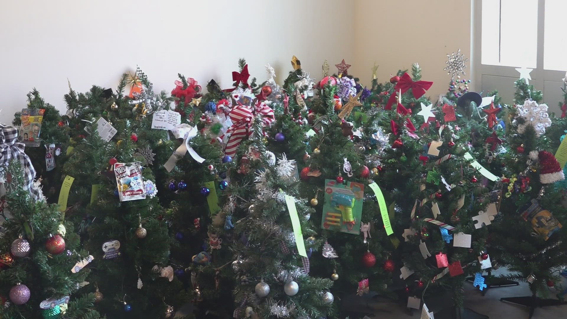 Each of the tiny trees had a different theme and were meant to bring cheer to patients over the holidays.