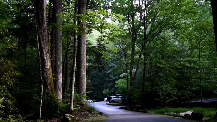 What you need to know about paying to park in the Great Smoky Mountains