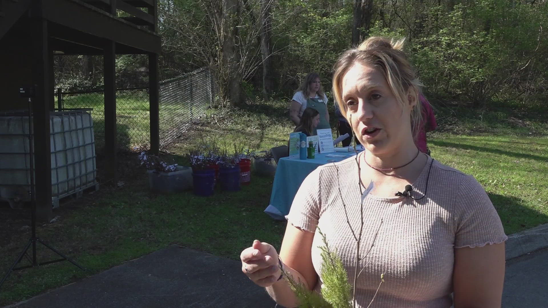 Thousands of trees were distributed state-wide as part of the "Tennessee Tree Day" initiative.