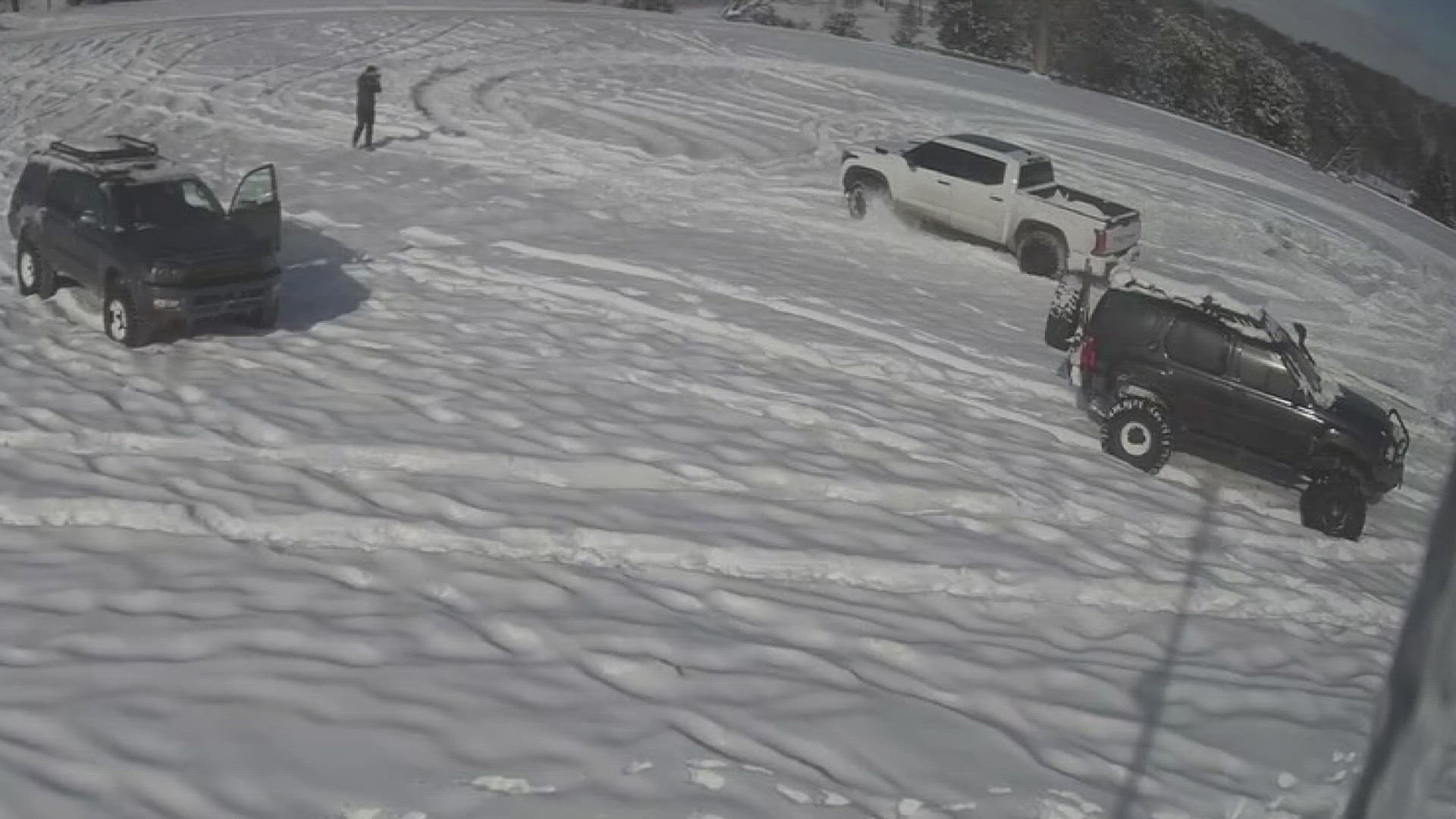 At least three vehicles drove around in circles in Lakeshore Park in the snow, damaging the ground.