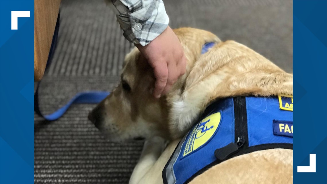 TN court says therapy dogs can help child sex abuse victims during trial, after appeal from criminal trial - Vimarsana News
