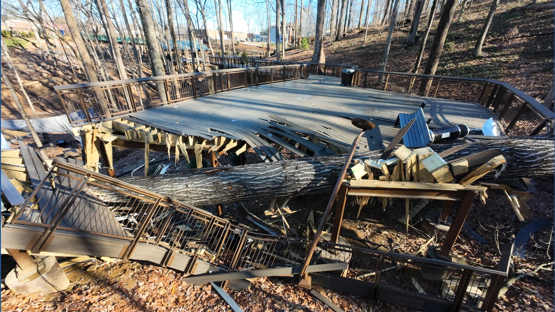 Fallen tree causes Zoo Knoxville's Smoky Night Lights to close until further notice
