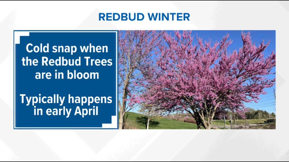 Redbud Winter will bring one more night of freezing temperatures to the