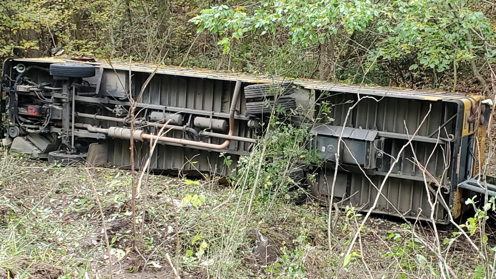 Greene Co. officials: All kids safe after Tuesday school bus crash ...