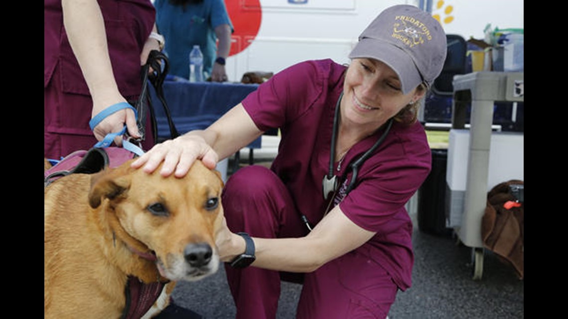 Free pet clinic in Knoxville
