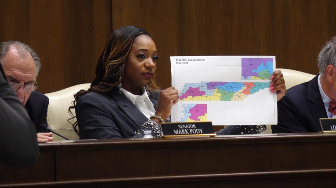 Lawmakers debate series of bills related to redistricting cost, legality and purpose in day two of special session